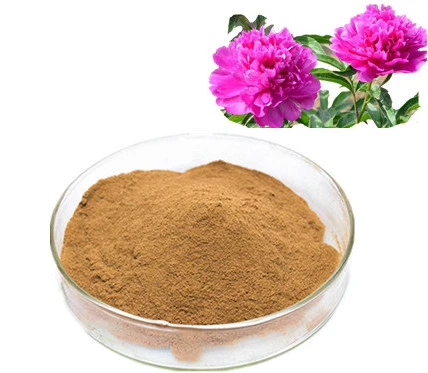 Notopterygium Root Extract_副本.jpg